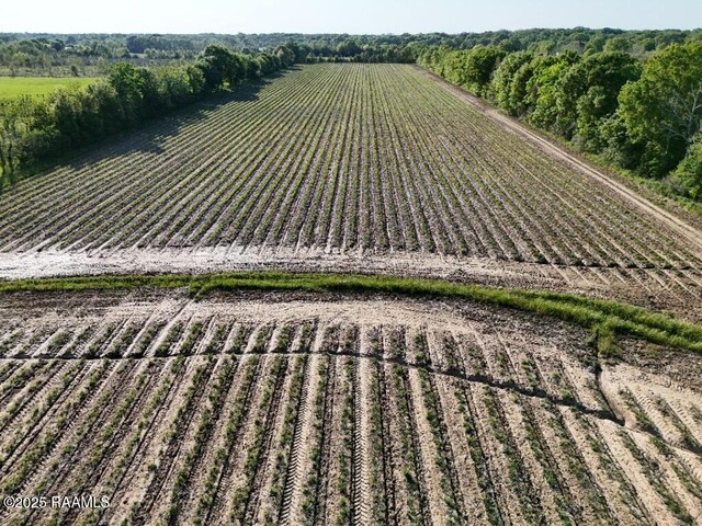 Saint Raymond Dr, Church Point, LA 70525 - photo 20