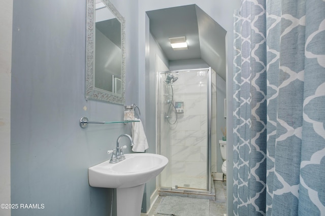 full bathroom featuring toilet, a shower stall, and a sink