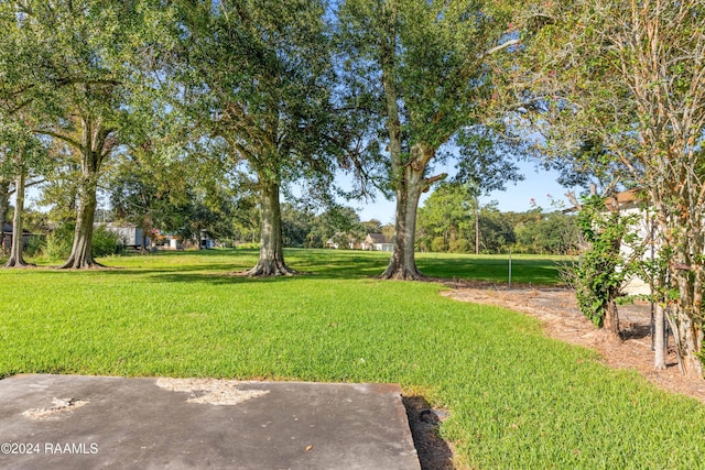 5162 Bridge St, Saint Martinville, LA 70582 - photo 10