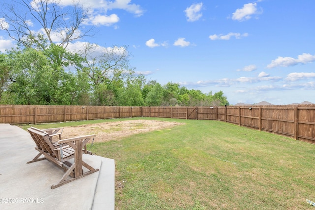view of yard with a patio and a fenced backyard