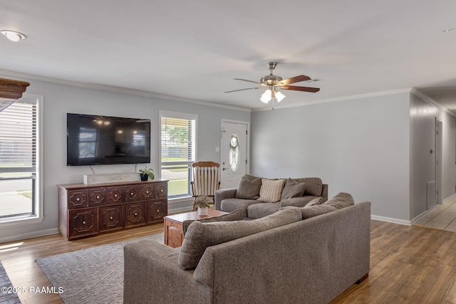 living room with crown molding, a ceiling fan, and light wood-style flooring