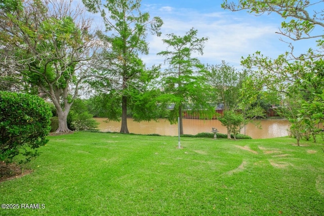221 Beverly Dr, Lafayette, LA 70503 - view of yard