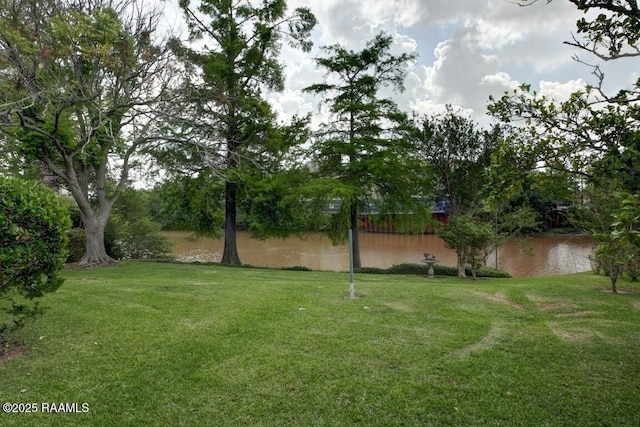 221 Beverly Dr, Lafayette, LA 70503 - view of yard