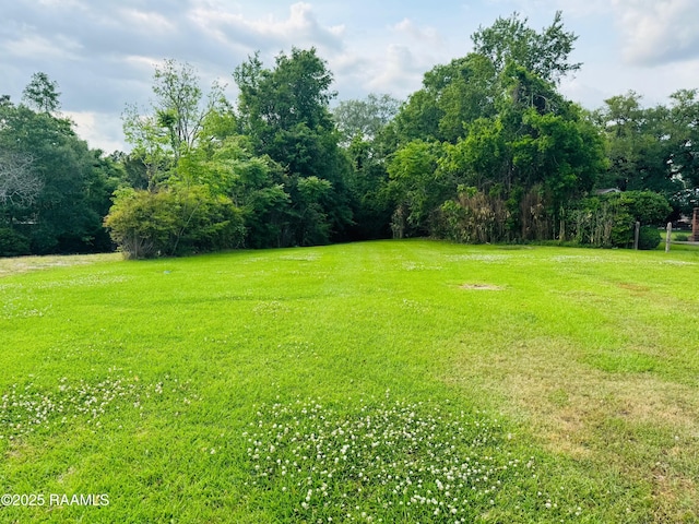1712 Johnston St, Lafayette, LA 70503 - photo 1