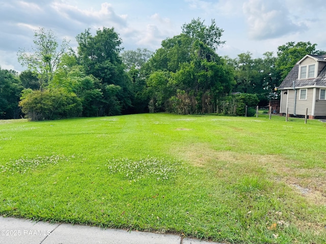 1712 Johnston St, Lafayette, LA 70503 - photo 2