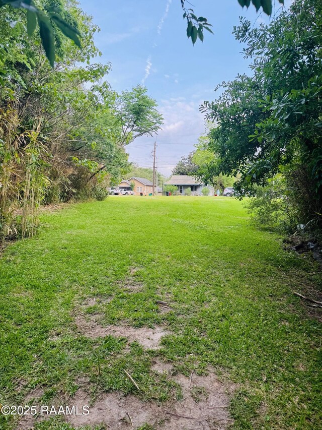 1712 Johnston St, Lafayette, LA 70503 - photo 3