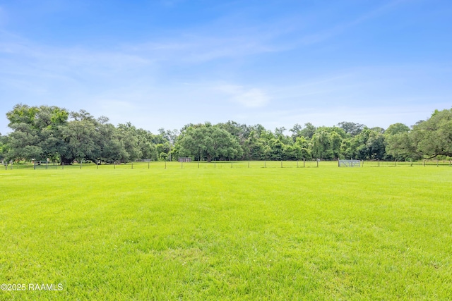 626 Patin Rd, Carencro, LA 70520 - photo 44