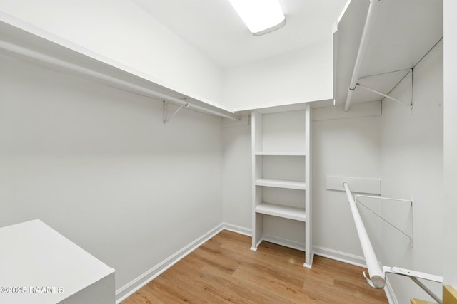 walk in closet featuring light wood finished floors