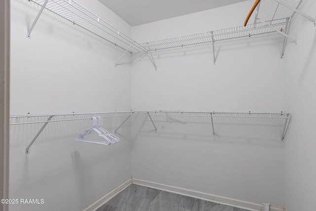 view of walk in closet