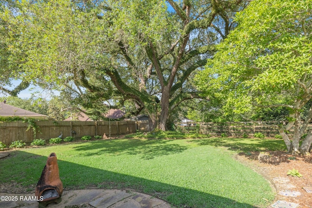 view of yard featuring a fenced backyard