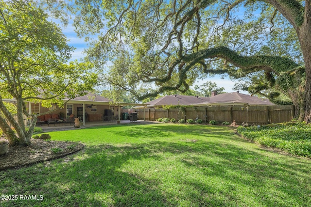 view of yard featuring a fenced backyard and a patio area