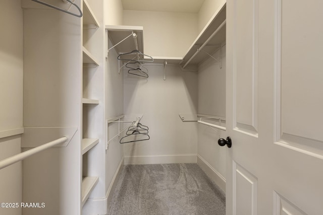 313 Summerland Key Ln, Lafayette, LA 70508 - spacious closet featuring carpet