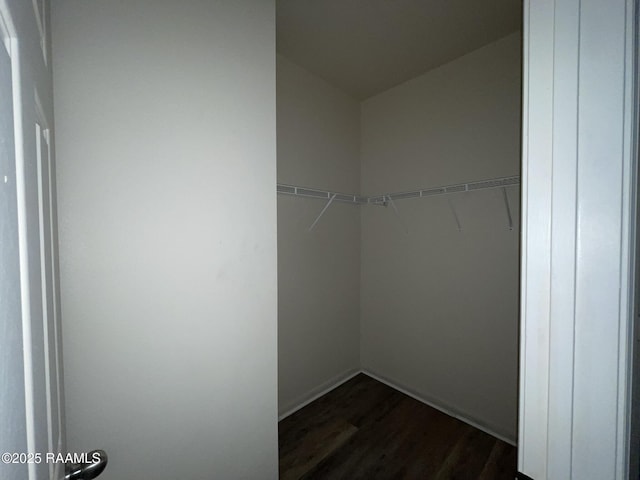 spacious closet with dark wood finished floors