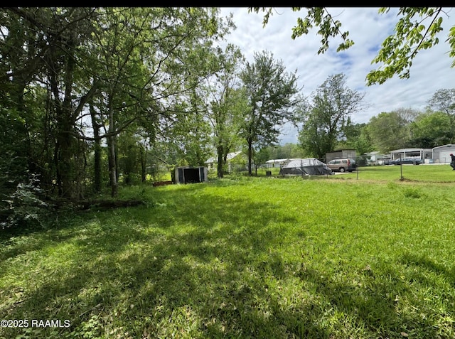 view of yard with fence, an outdoor structure, and a shed