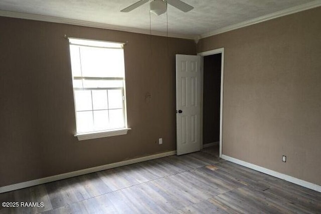 empty room featuring ceiling fan, wood finished floors, and a wealth of natural light
