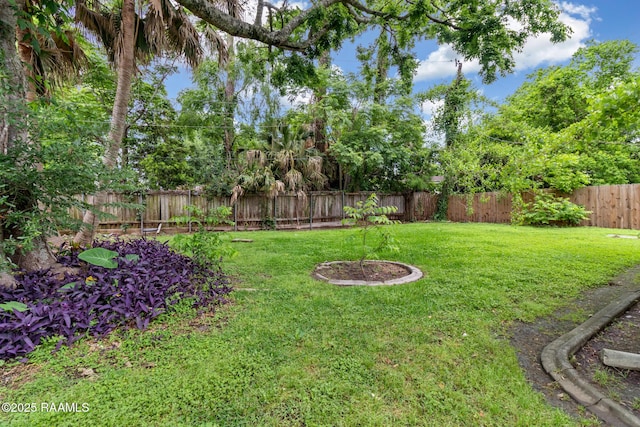 view of yard with a fenced backyard