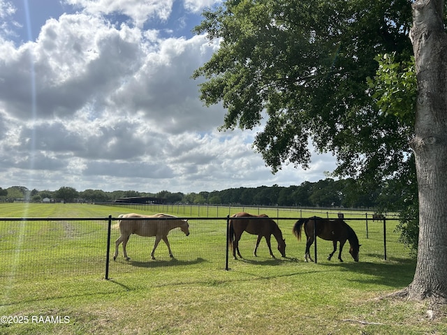view of home's community featuring fence, a rural view, and a yard