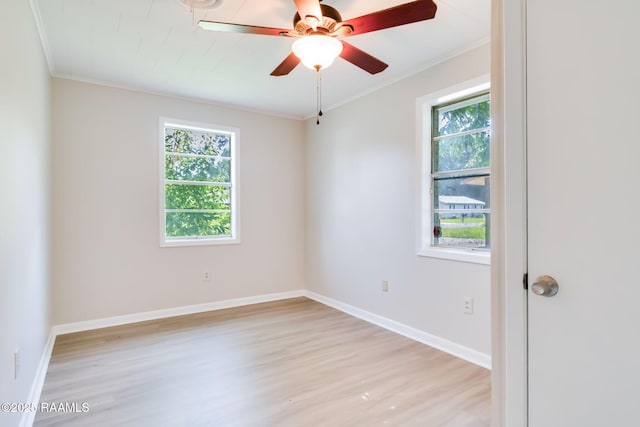 202 Walter Dr, Lafayette, LA 70501 - photo 14