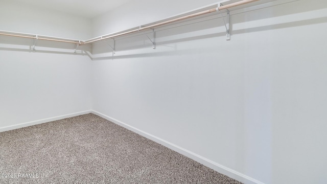 spacious closet with carpet