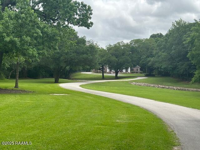 10427 U S Highway 167, Abbeville, LA 70510 - view of property's community with a lawn and curved driveway