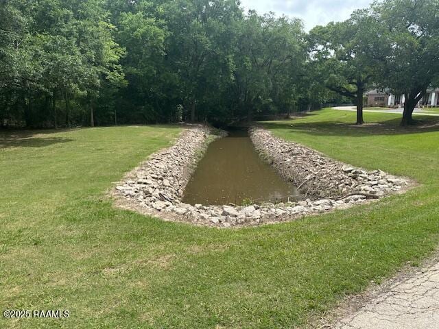 10427 U S Highway 167, Abbeville, LA 70510 - surrounding community featuring a yard