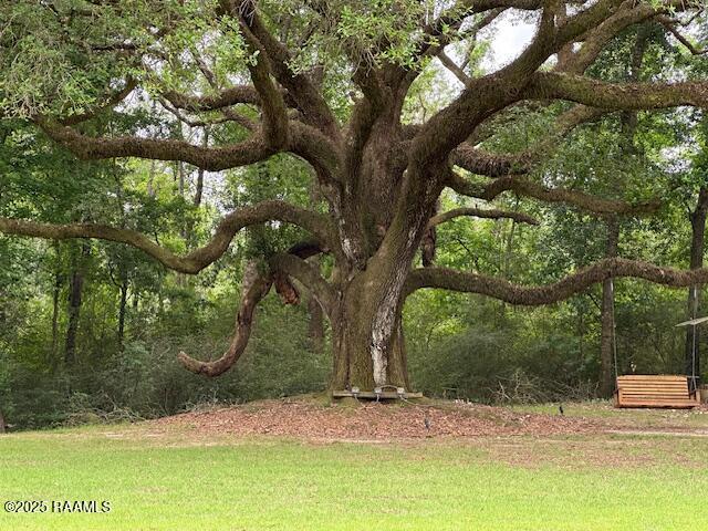 10427 U S Highway 167, Abbeville, LA 70510 - exterior space featuring a forest view