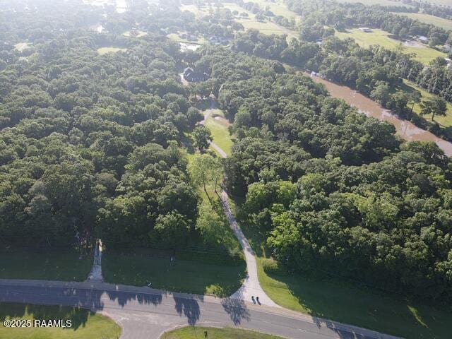 10427 U S Highway 167, Abbeville, LA 70510 - birds eye view of property featuring a forest view