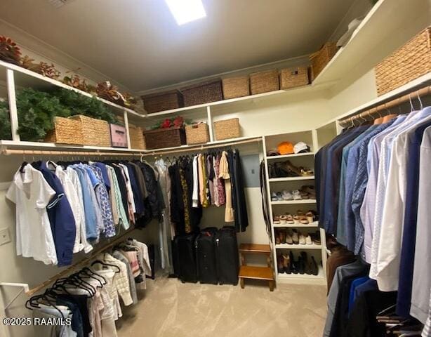 10427 U S Highway 167, Abbeville, LA 70510 - walk in closet featuring carpet flooring