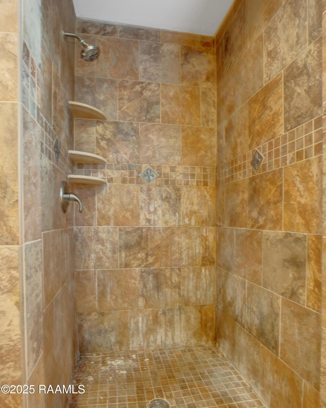 1621 Elm St, New Iberia, LA 70560 - details featuring a tile shower