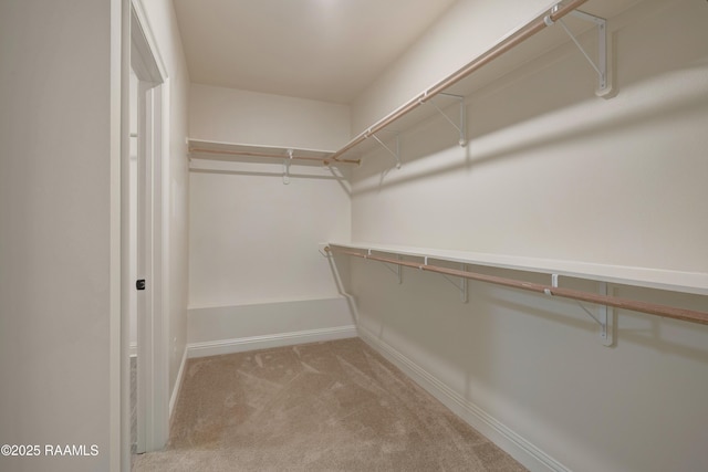 spacious closet with carpet flooring