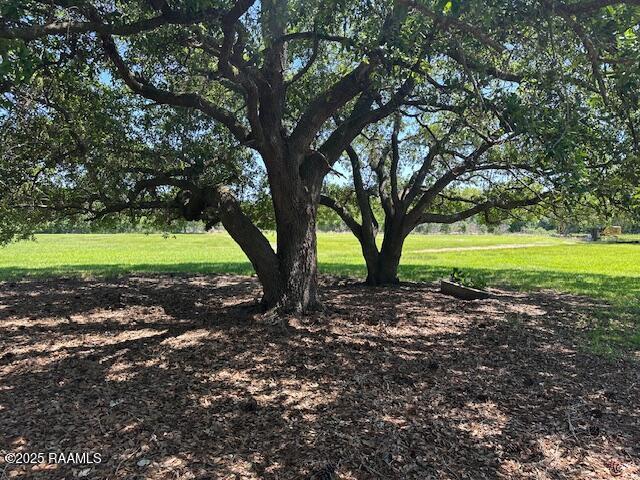 25421 Mulberry Rd, Kaplan, LA 70548