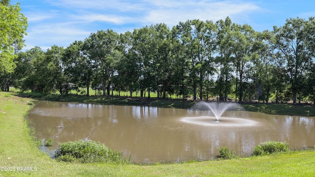 147 Heathwood Dr, Broussard, LA 70518 - water view