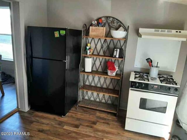 kitchen featuring white gas range, exhaust hood, wood finished floors, freestanding refrigerator, and a wealth of natural light