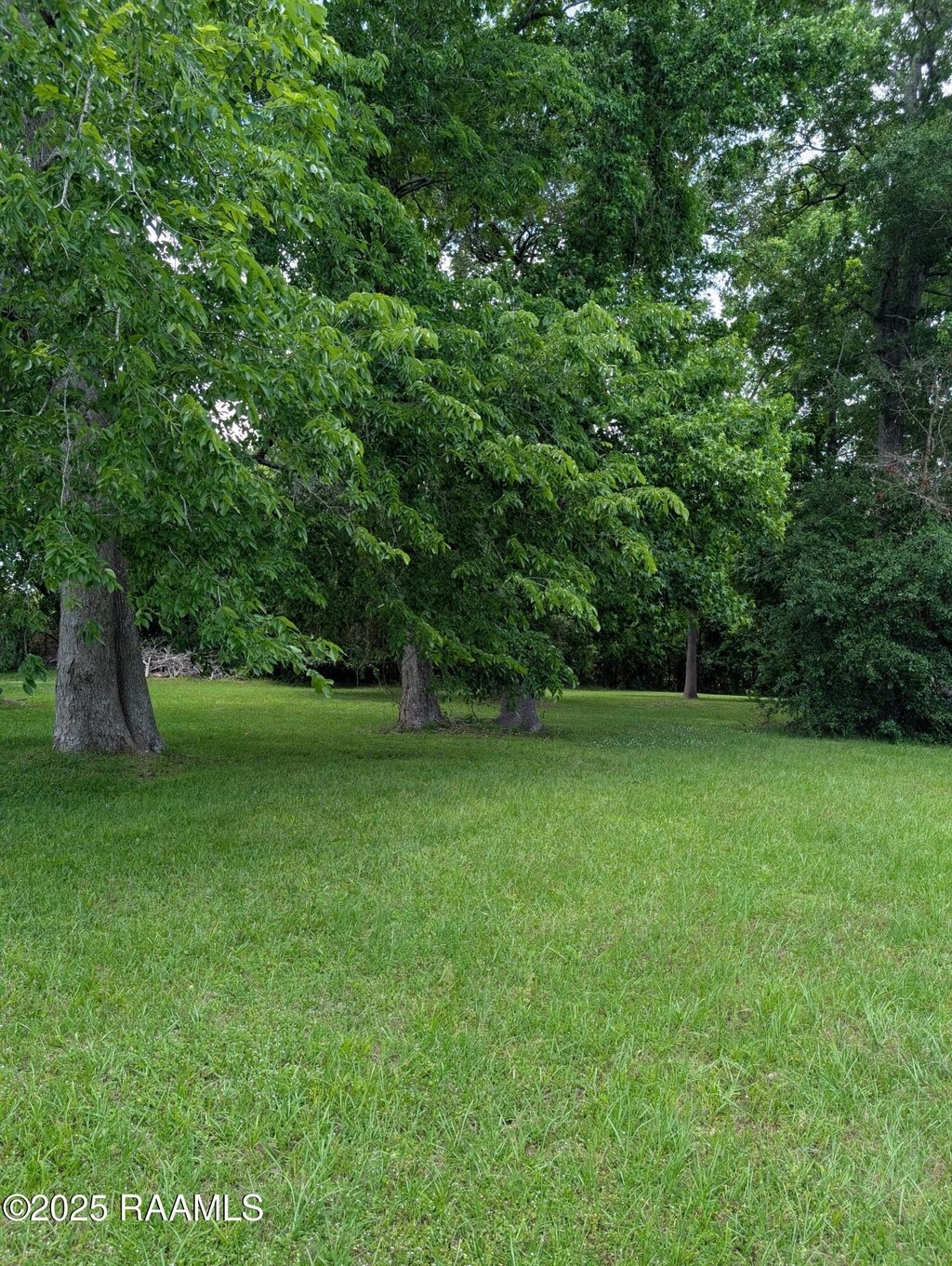 103 Thornhill Cir, Lafayette, LA 70503