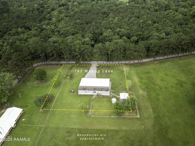 bird's eye view with a view of trees