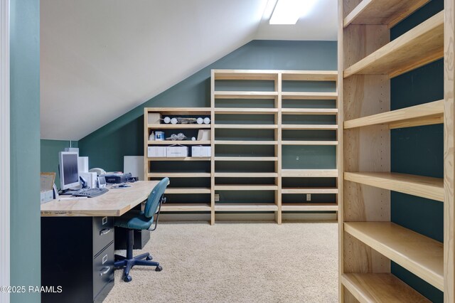 110 Interlaken Dr, New Iberia, LA 70563 - office space featuring lofted ceiling and carpet flooring