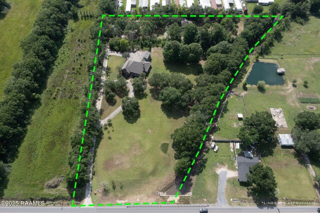 drone / aerial view