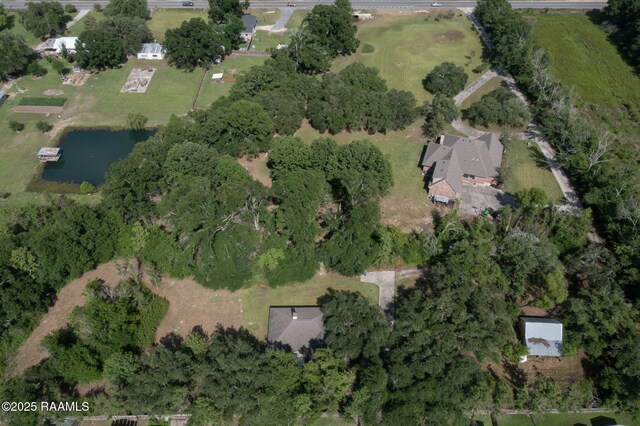drone / aerial view