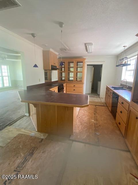 16224 Saint Elmo Rd, Erath, LA 70533 - kitchen featuring pendant lighting, a sink, a peninsula, glass insert cabinets, and black dishwasher
