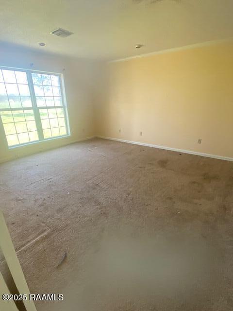 16224 Saint Elmo Rd, Erath, LA 70533 - carpeted spare room featuring baseboards