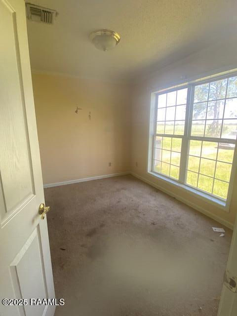 16224 Saint Elmo Rd, Erath, LA 70533 - unfurnished room with visible vents, carpet, and baseboards
