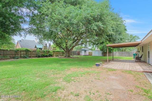 view of yard with an outdoor structure, a patio, a fenced backyard, and a storage unit