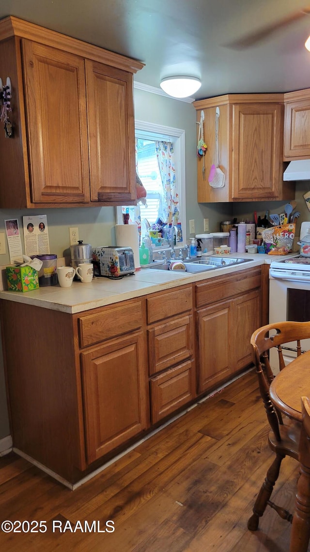 205 F St, Duson, LA 70529 - kitchen with white electric range oven, light countertops, under cabinet range hood, a sink, and dark wood finished floors