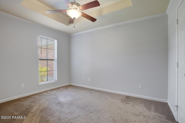 carpeted spare room with a raised ceiling, plenty of natural light, and ornamental molding