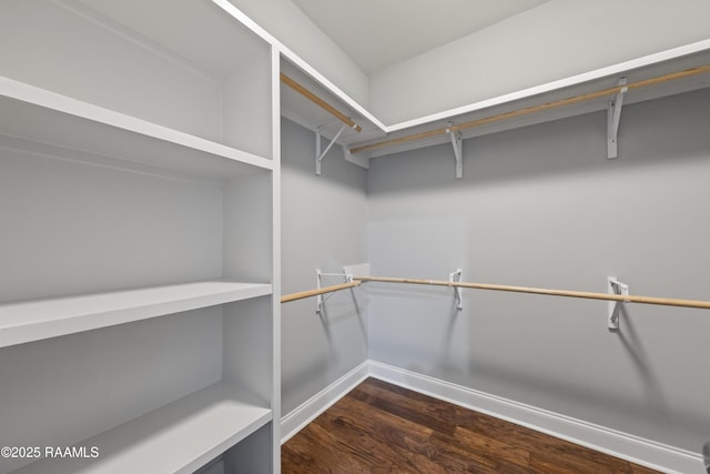 spacious closet featuring dark wood-style floors