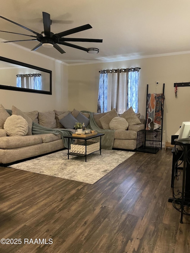 living area featuring crown molding, ceiling fan, and dark wood-type flooring