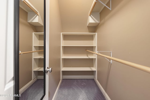 6 Oak Pl, New Iberia, LA 70563 - view of walk in closet