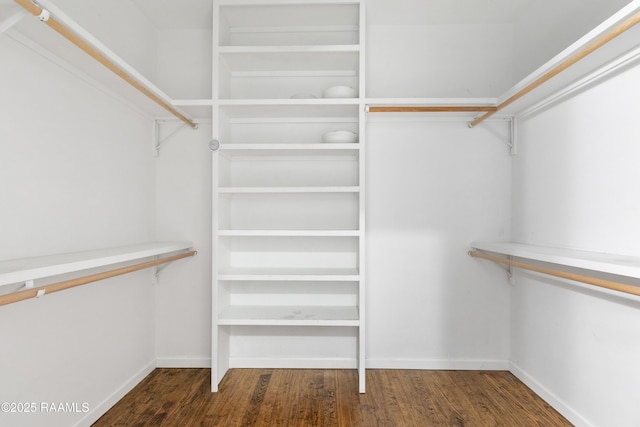 walk in closet with wood finished floors
