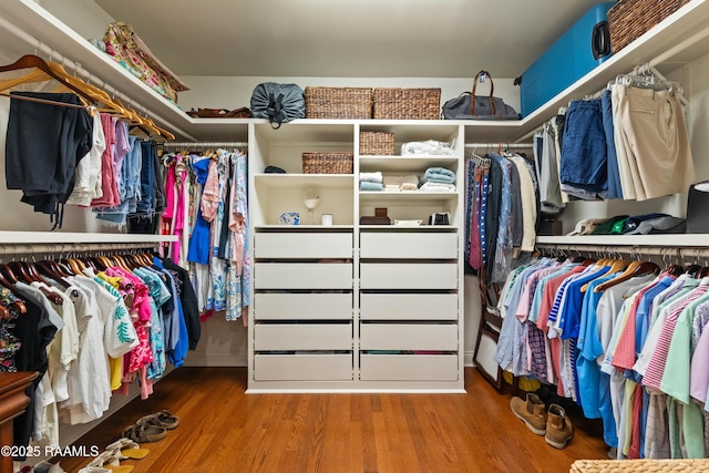 spacious closet featuring wood finished floors
