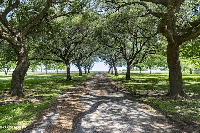 view of property's community with a yard